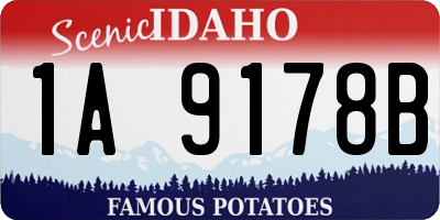 ID license plate 1A9178B