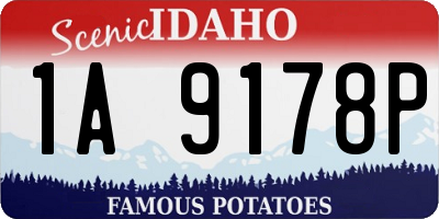 ID license plate 1A9178P