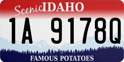 ID license plate 1A9178Q