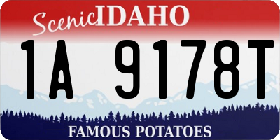 ID license plate 1A9178T