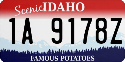 ID license plate 1A9178Z