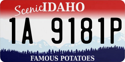 ID license plate 1A9181P