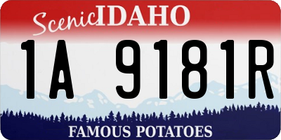 ID license plate 1A9181R