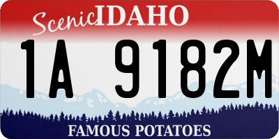 ID license plate 1A9182M