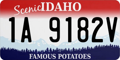 ID license plate 1A9182V