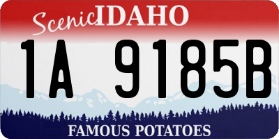 ID license plate 1A9185B