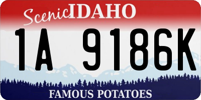 ID license plate 1A9186K