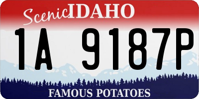 ID license plate 1A9187P