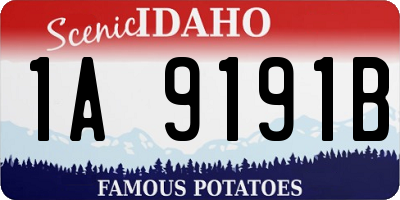 ID license plate 1A9191B