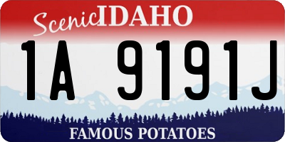 ID license plate 1A9191J
