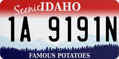 ID license plate 1A9191N