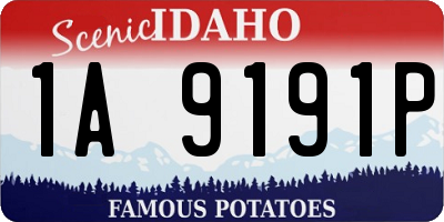 ID license plate 1A9191P