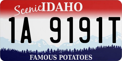 ID license plate 1A9191T