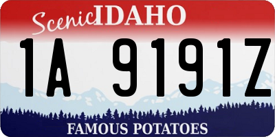 ID license plate 1A9191Z