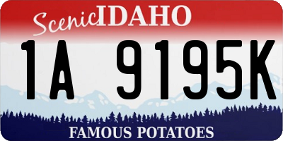 ID license plate 1A9195K