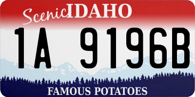 ID license plate 1A9196B