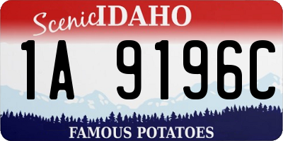 ID license plate 1A9196C