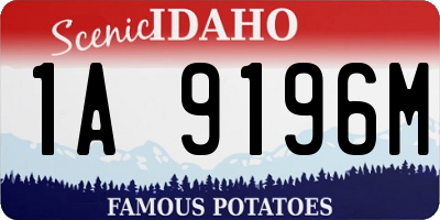 ID license plate 1A9196M