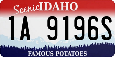 ID license plate 1A9196S