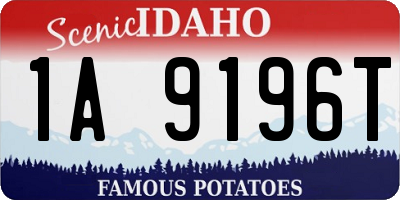 ID license plate 1A9196T