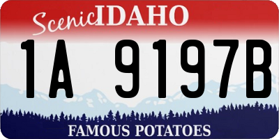 ID license plate 1A9197B