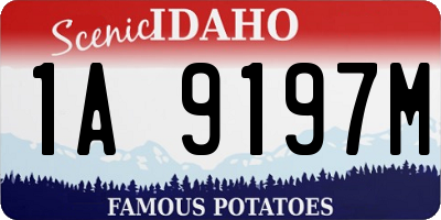ID license plate 1A9197M