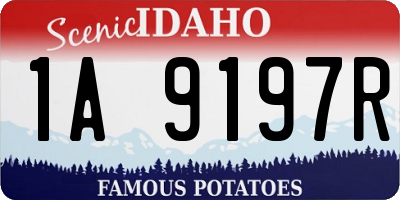 ID license plate 1A9197R