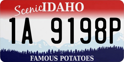 ID license plate 1A9198P
