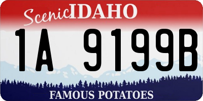 ID license plate 1A9199B