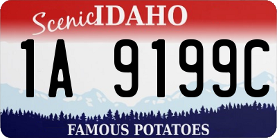 ID license plate 1A9199C