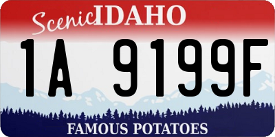 ID license plate 1A9199F