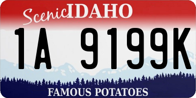 ID license plate 1A9199K