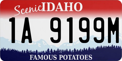 ID license plate 1A9199M
