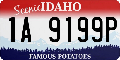 ID license plate 1A9199P