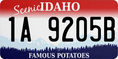 ID license plate 1A9205B