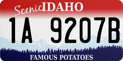 ID license plate 1A9207B
