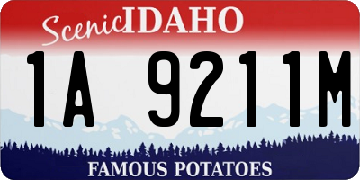 ID license plate 1A9211M