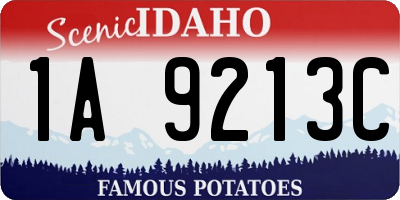 ID license plate 1A9213C