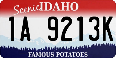 ID license plate 1A9213K