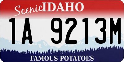 ID license plate 1A9213M