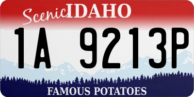 ID license plate 1A9213P