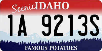 ID license plate 1A9213S