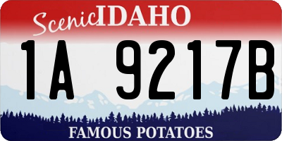 ID license plate 1A9217B
