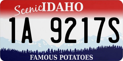 ID license plate 1A9217S