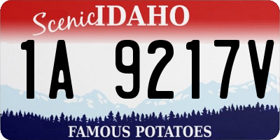 ID license plate 1A9217V