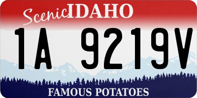 ID license plate 1A9219V