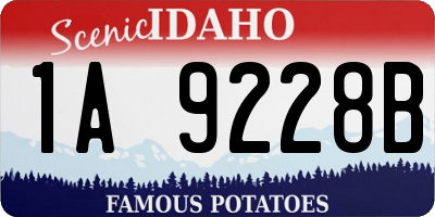 ID license plate 1A9228B