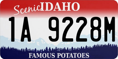 ID license plate 1A9228M