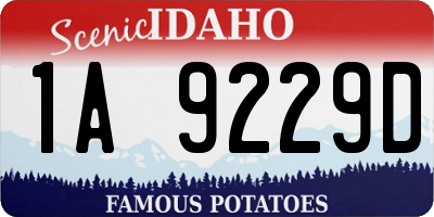 ID license plate 1A9229D