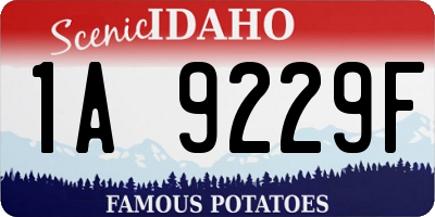 ID license plate 1A9229F